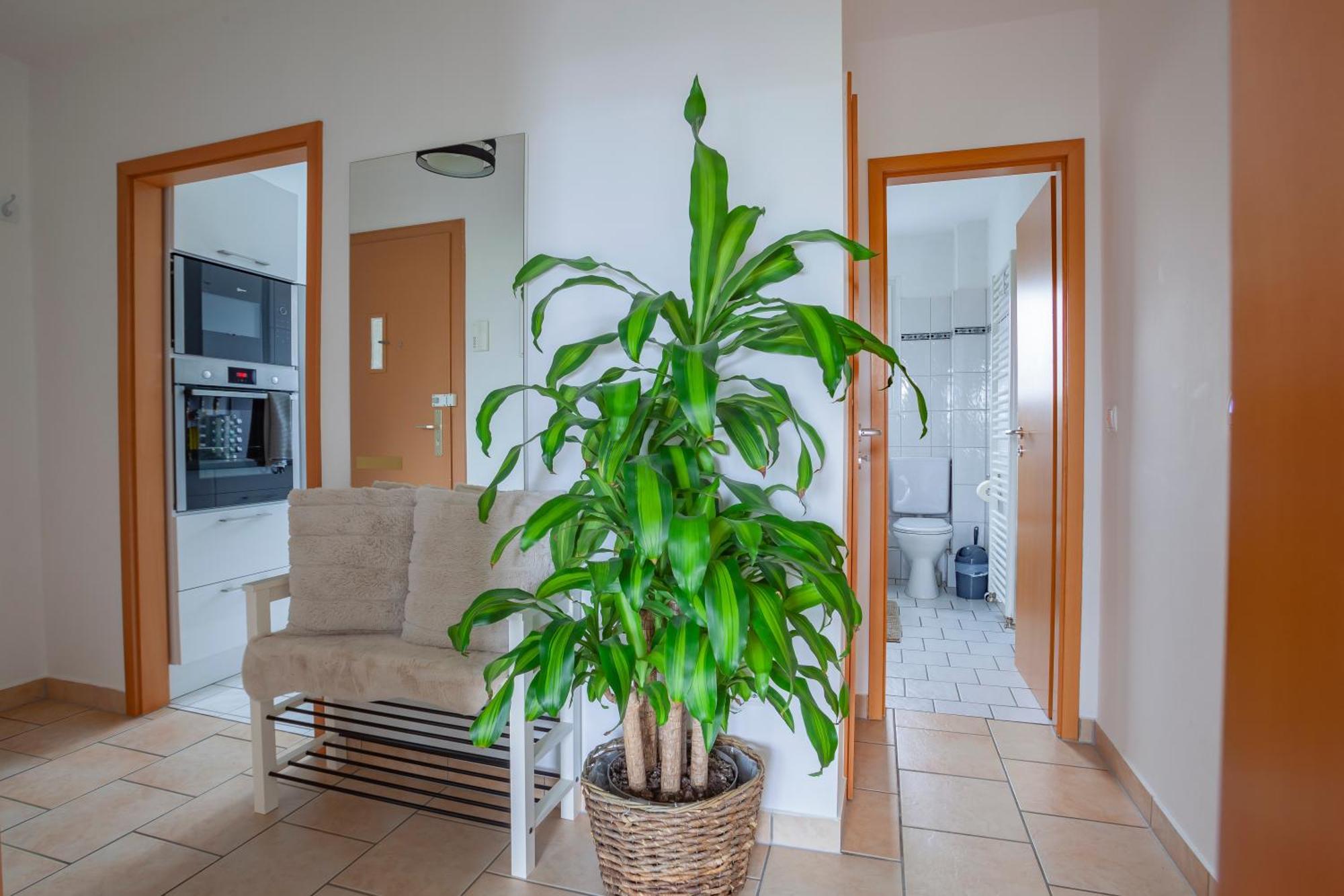Exclusive 2-Room-City-Apartment - Contactless Check-In Hannover Buitenkant foto